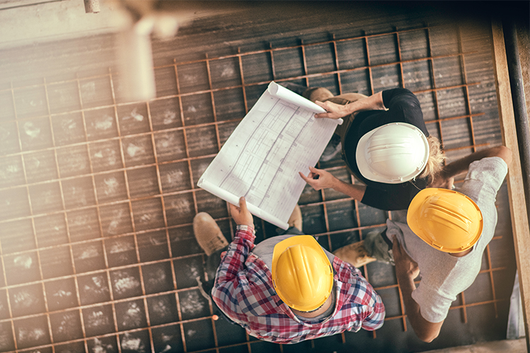 Earning a packet Down Under: best paying jobs in New Zealand