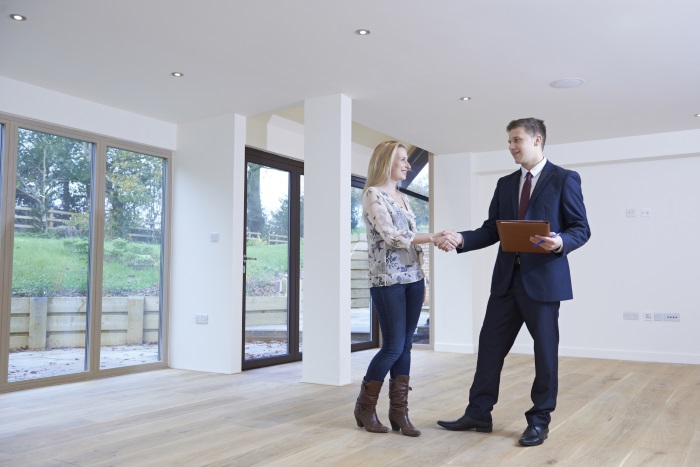 Lady shaking hands with Estate agent