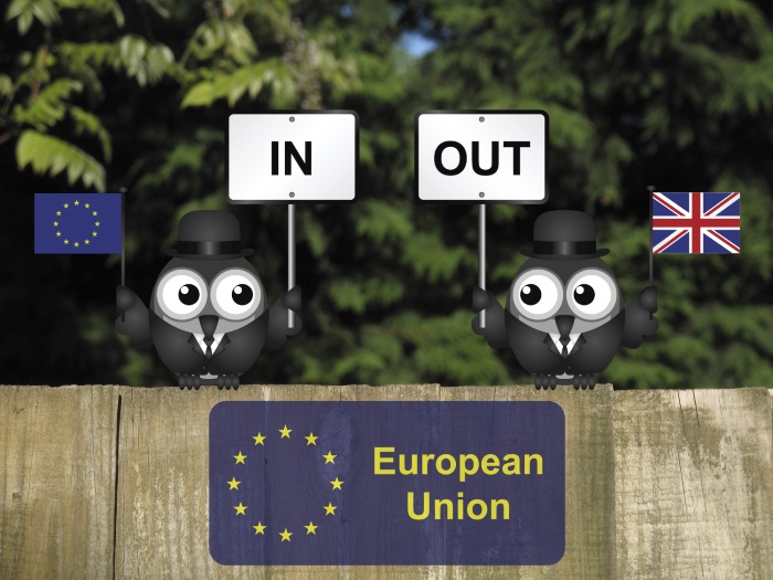 In or out - EU Referendum