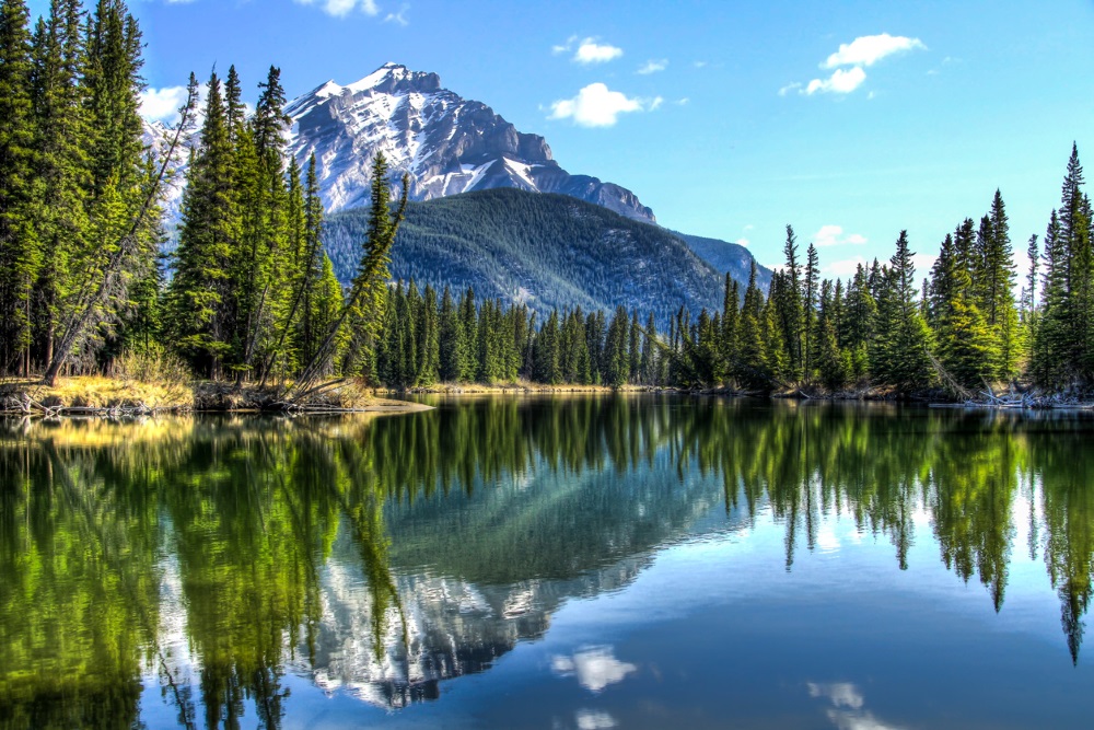 Calm bow river, Canada