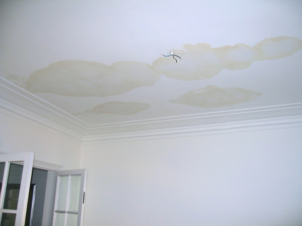 Damp ceiling