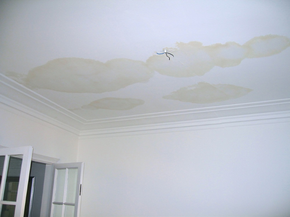 Damp ceiling